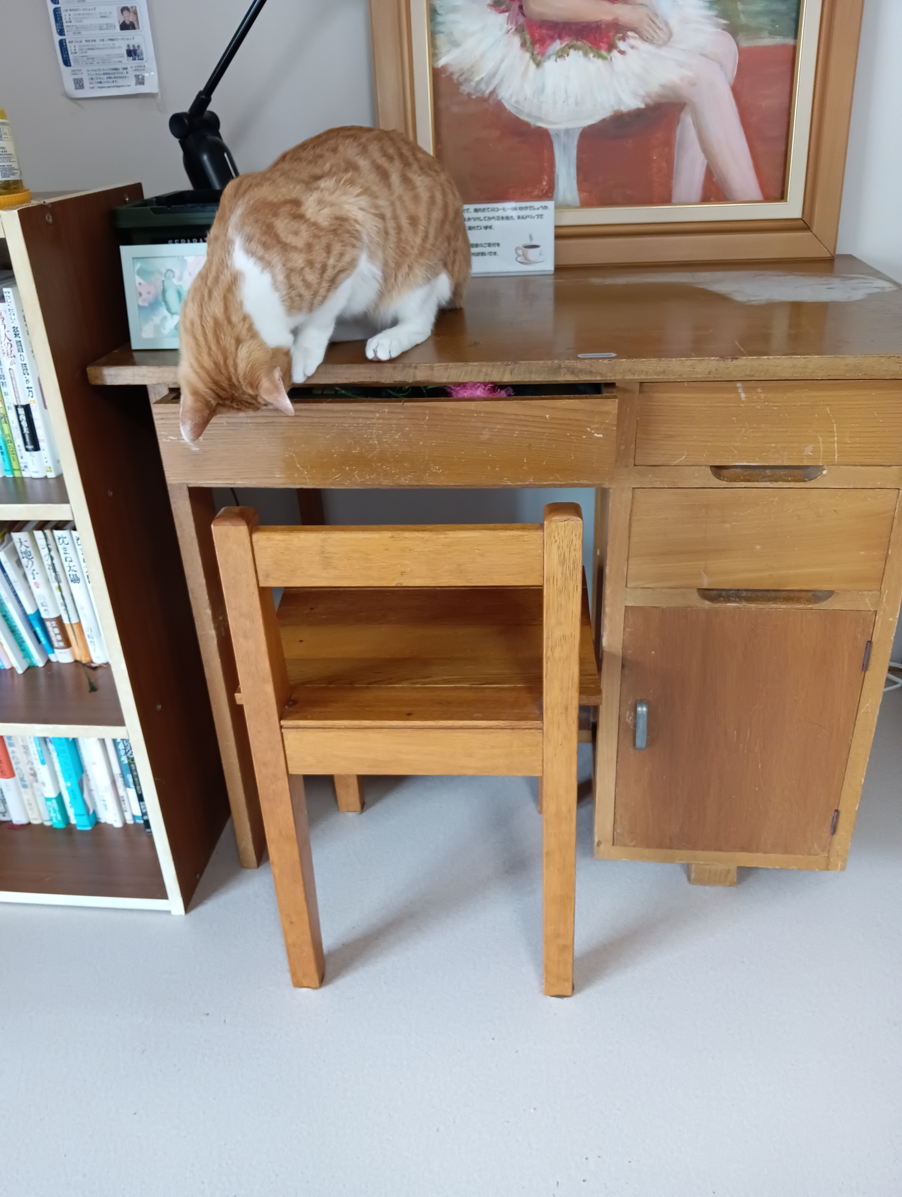 　　　　　　　　　　　　　　　　　　　　　　　　　　　　　　　　　　　　上からじゃ開かないね