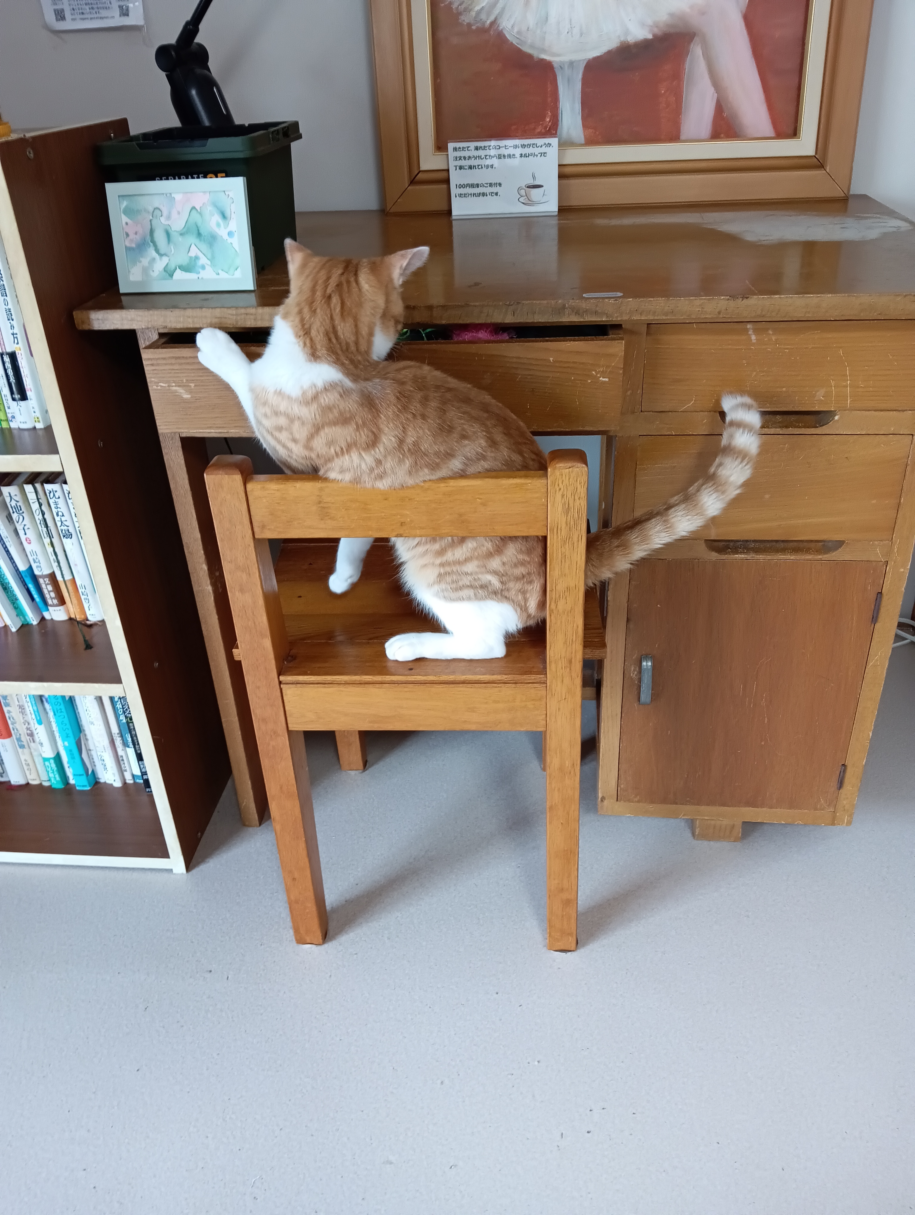 下からも開かないにゃあ～