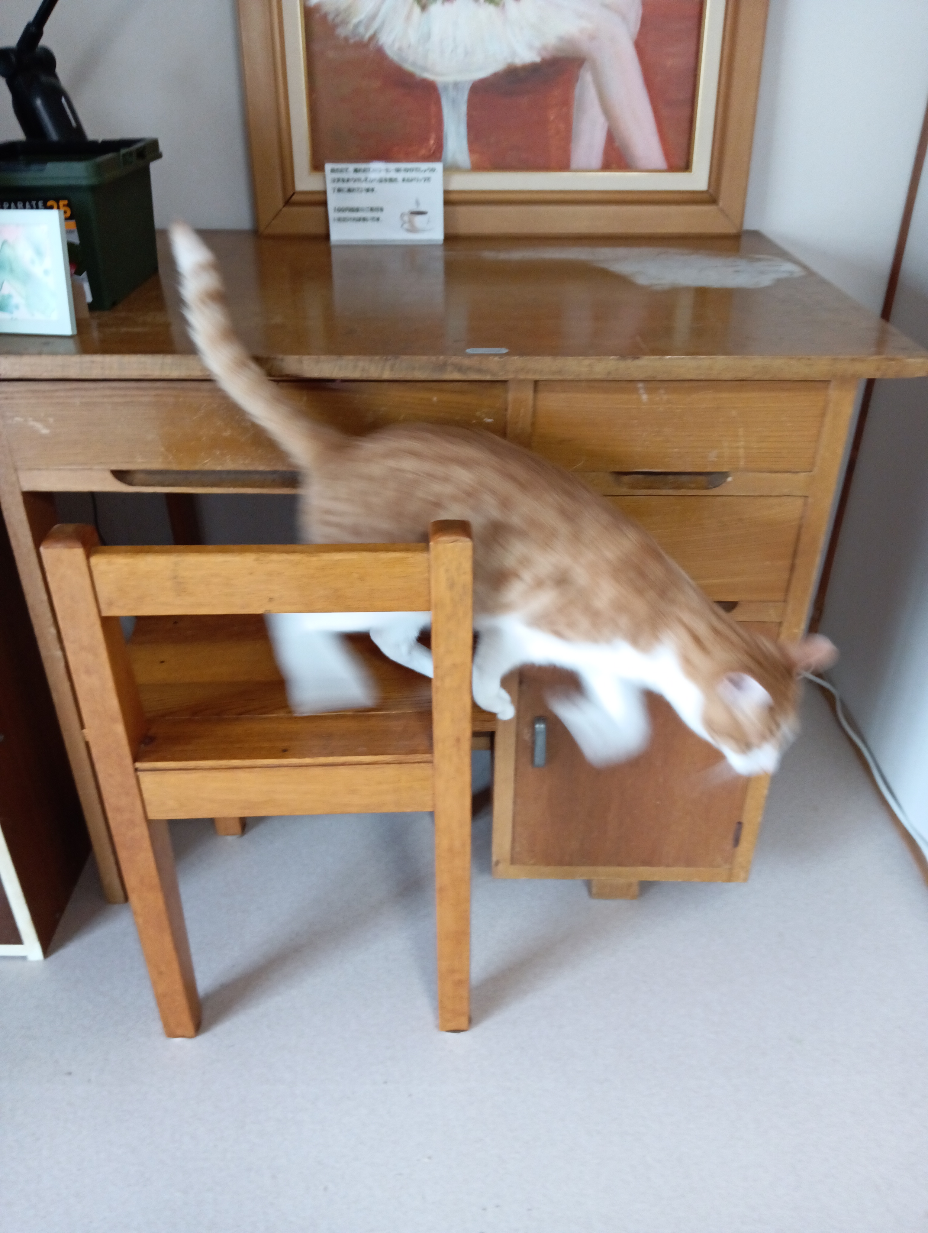 　　　　　　　　　　　　　　　　　それよりおなかすいた、そろそろめしになんないかにゃあ～（勉強なんて最初からやる気なかったくせに）