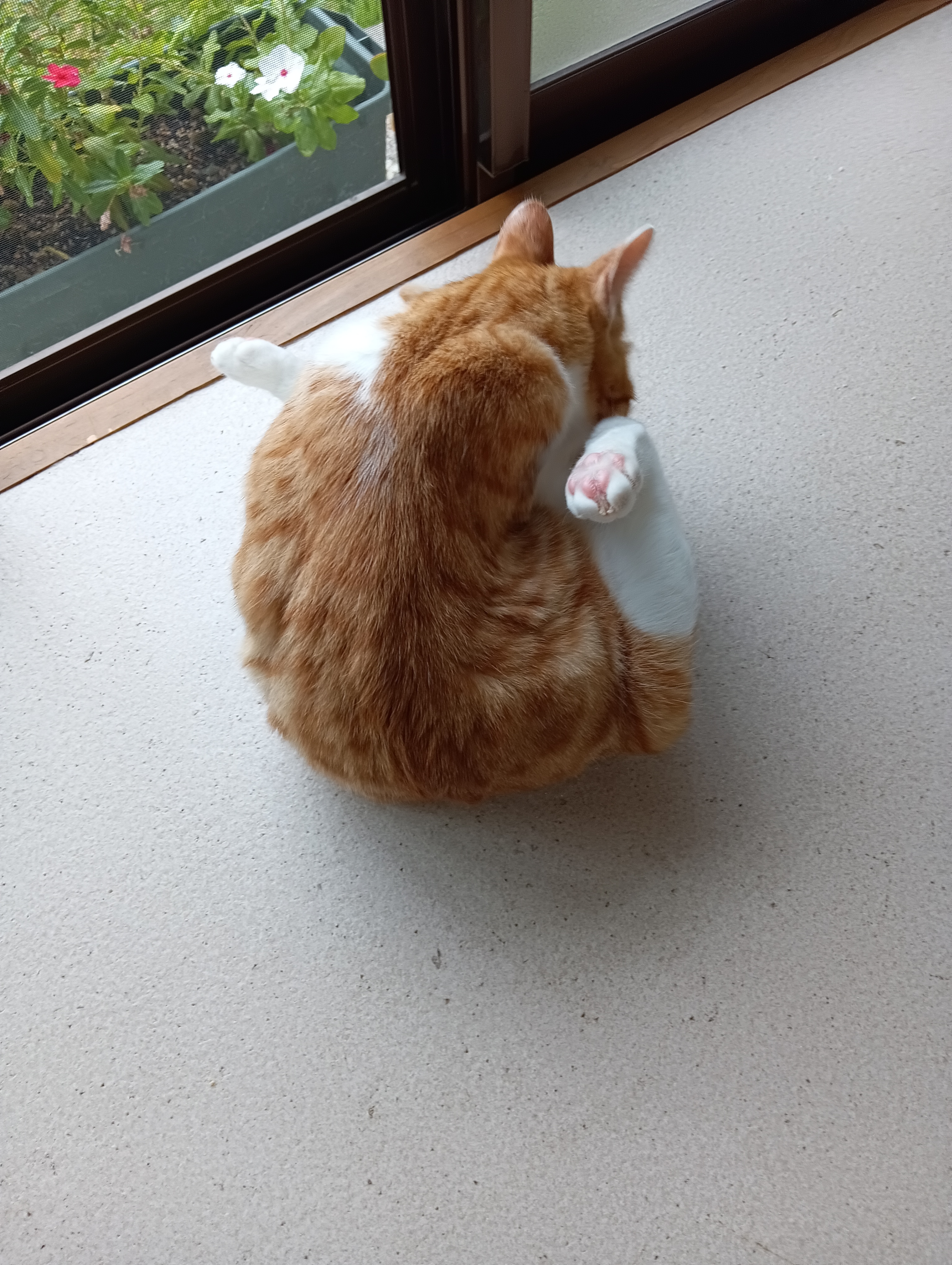 　　　　　　　　　　　　　　　　　　　　　　　　　　　　　　　　　ぼく、こんなんもできるよ～