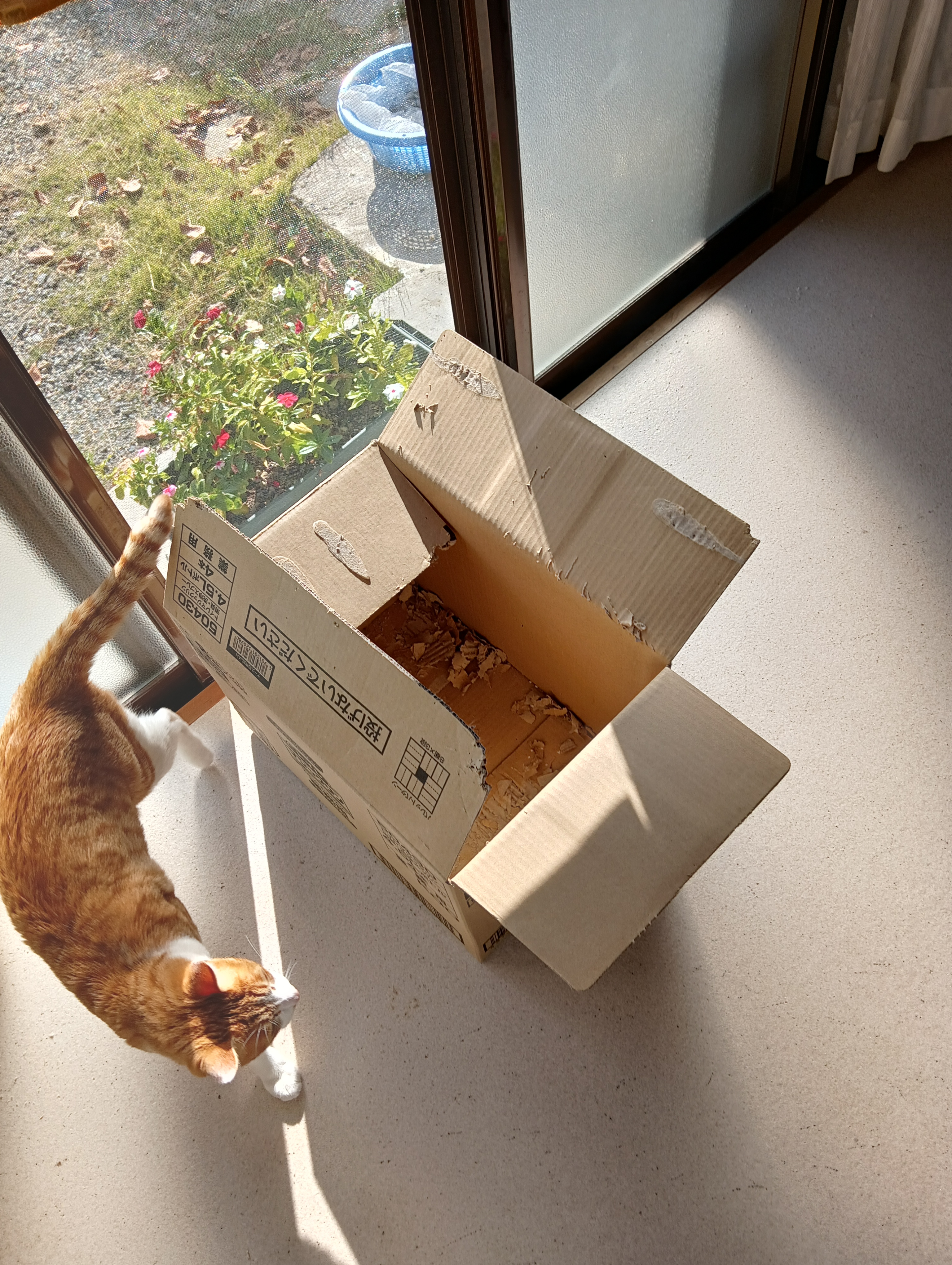 　　　　　　　　　　　　　　　　　　　　　　　　　　　　　　　　　　　やったー　トイレまにあった！