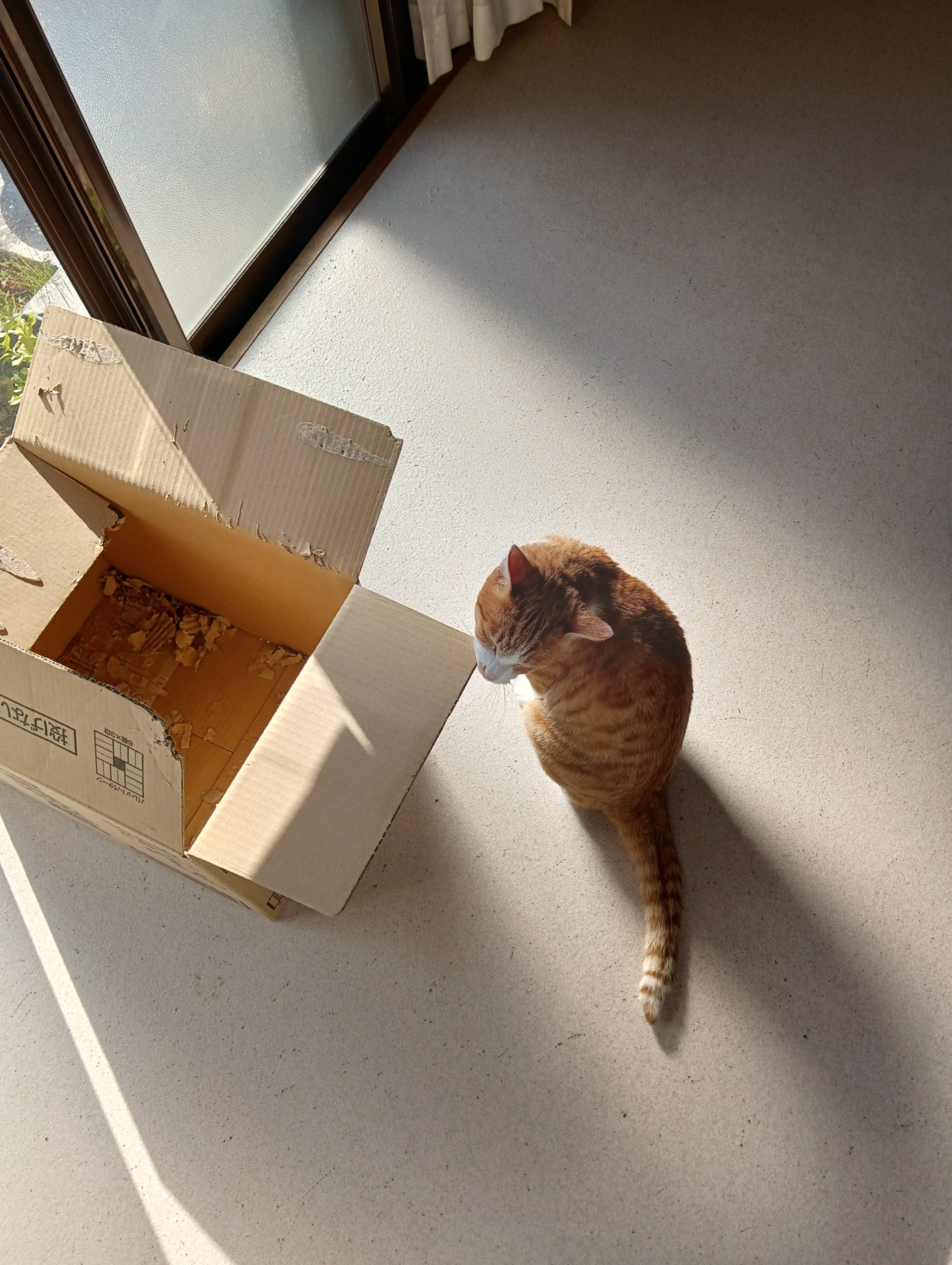 　　　　　　　　　　　　　　　　　　　　　　　　　　　　　　　ん？オスメス共用？いまどきなんで