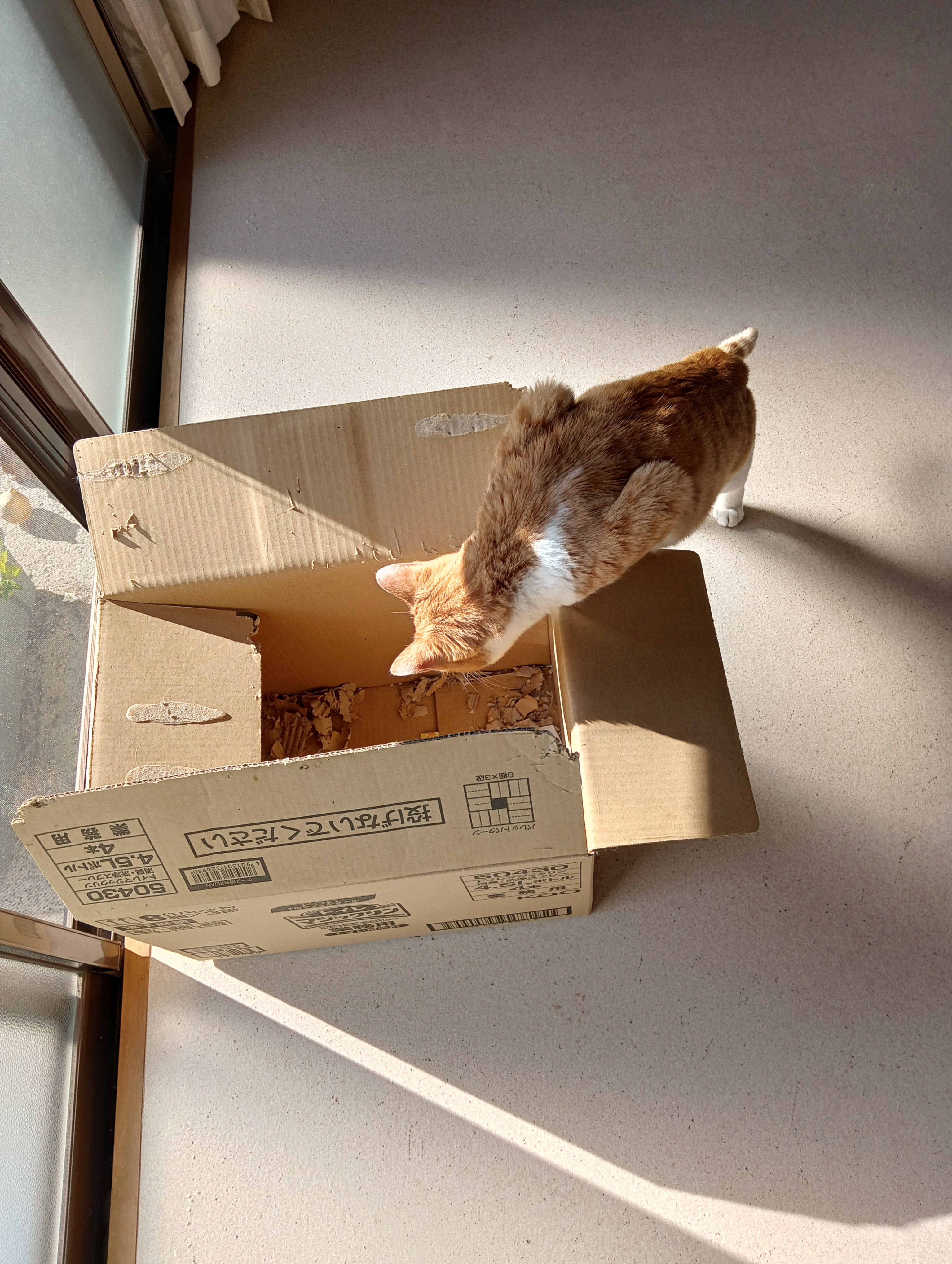 　　　　　　　　　　　　　　　　　　　　　　　　　　　　　　　　　　　　　　　とにかく早く入ろう