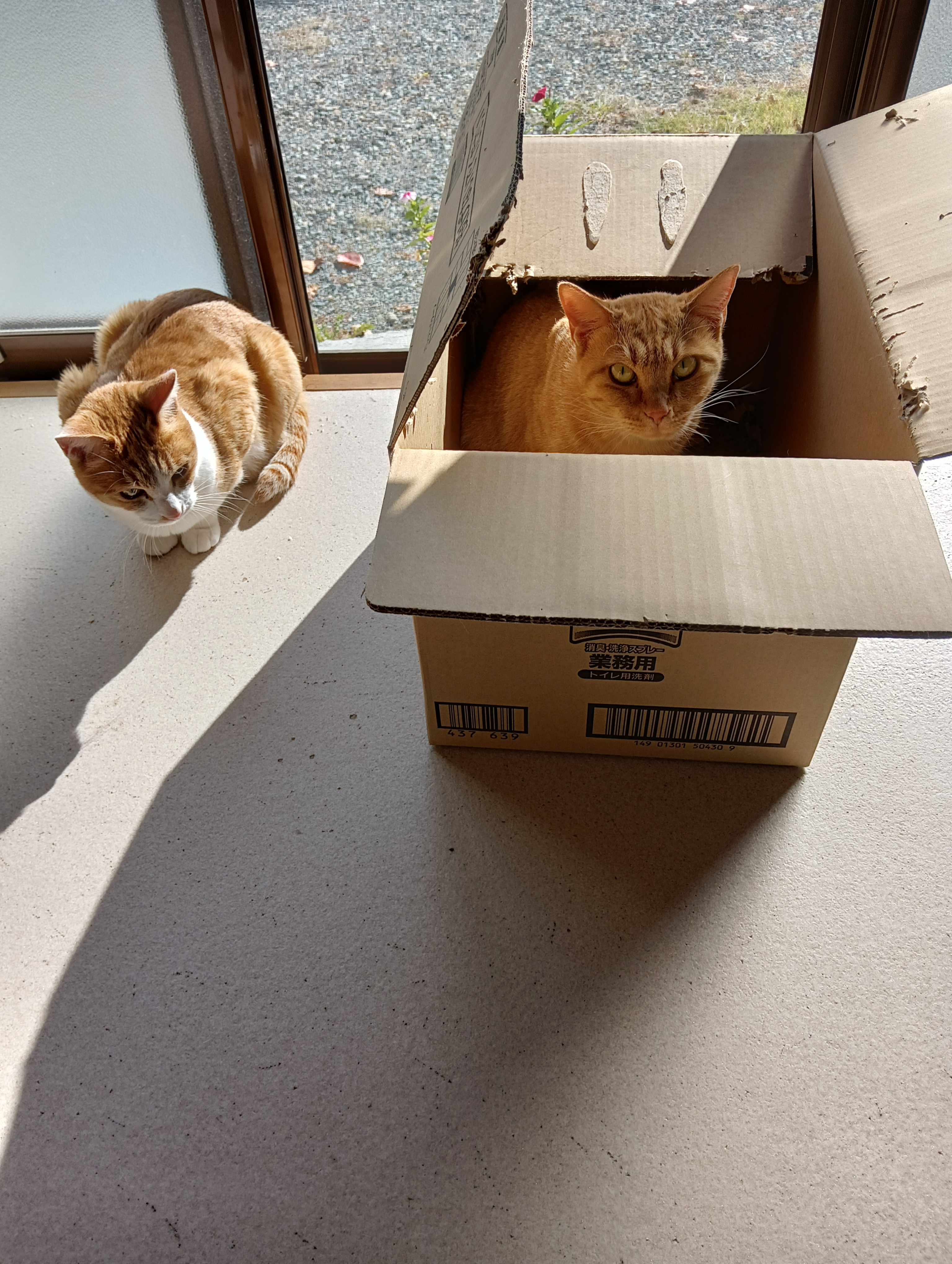 　　　　　　　　　　　　　　　　　　　　　　　　　　　　　　　早くしてくんないかなあ、もれちゃうよー