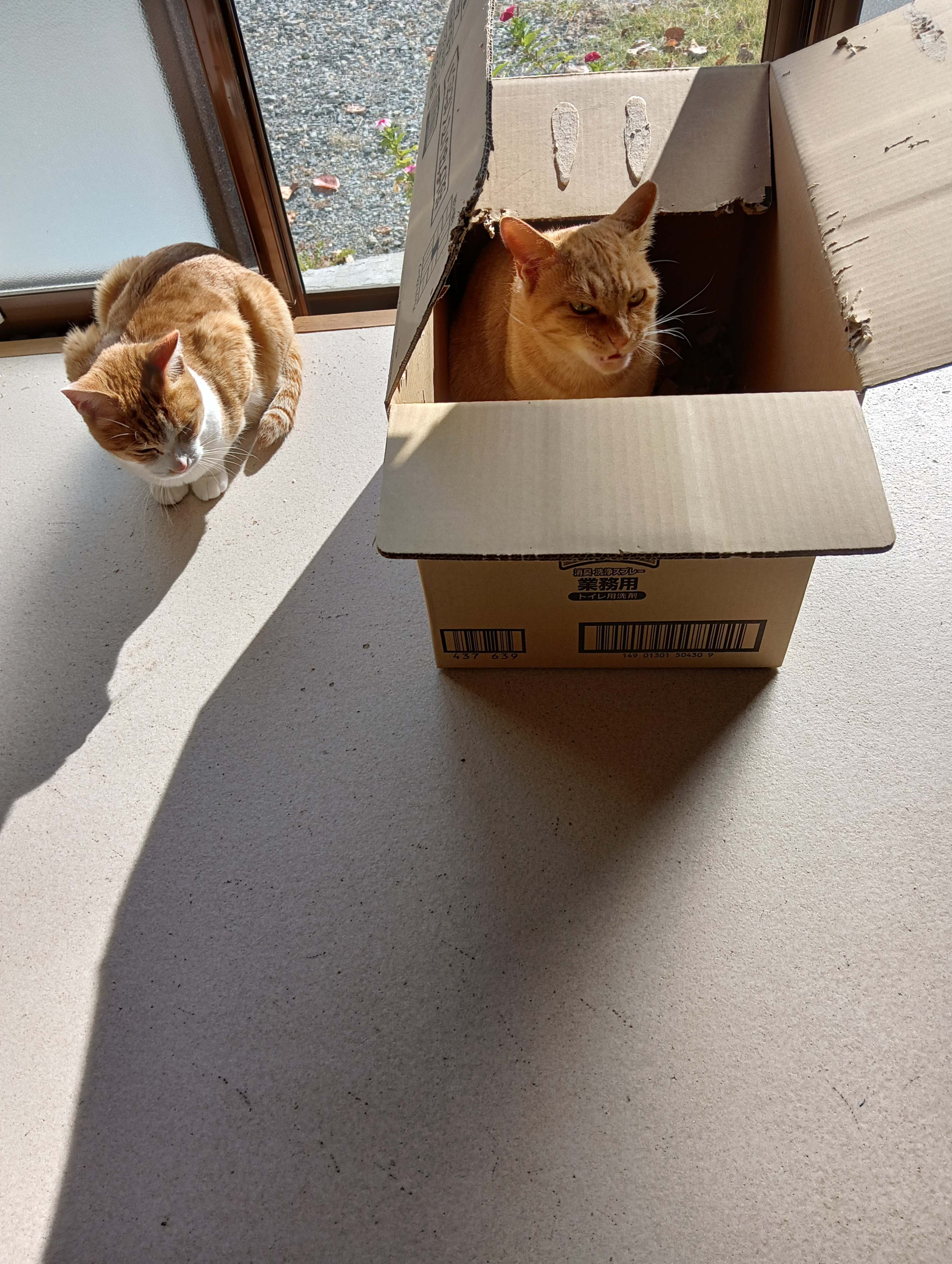 　　　　　　　　　　　　　　　　　　　　　　　　　　　　　　　　　　　　　　　　まだかなあ・・・