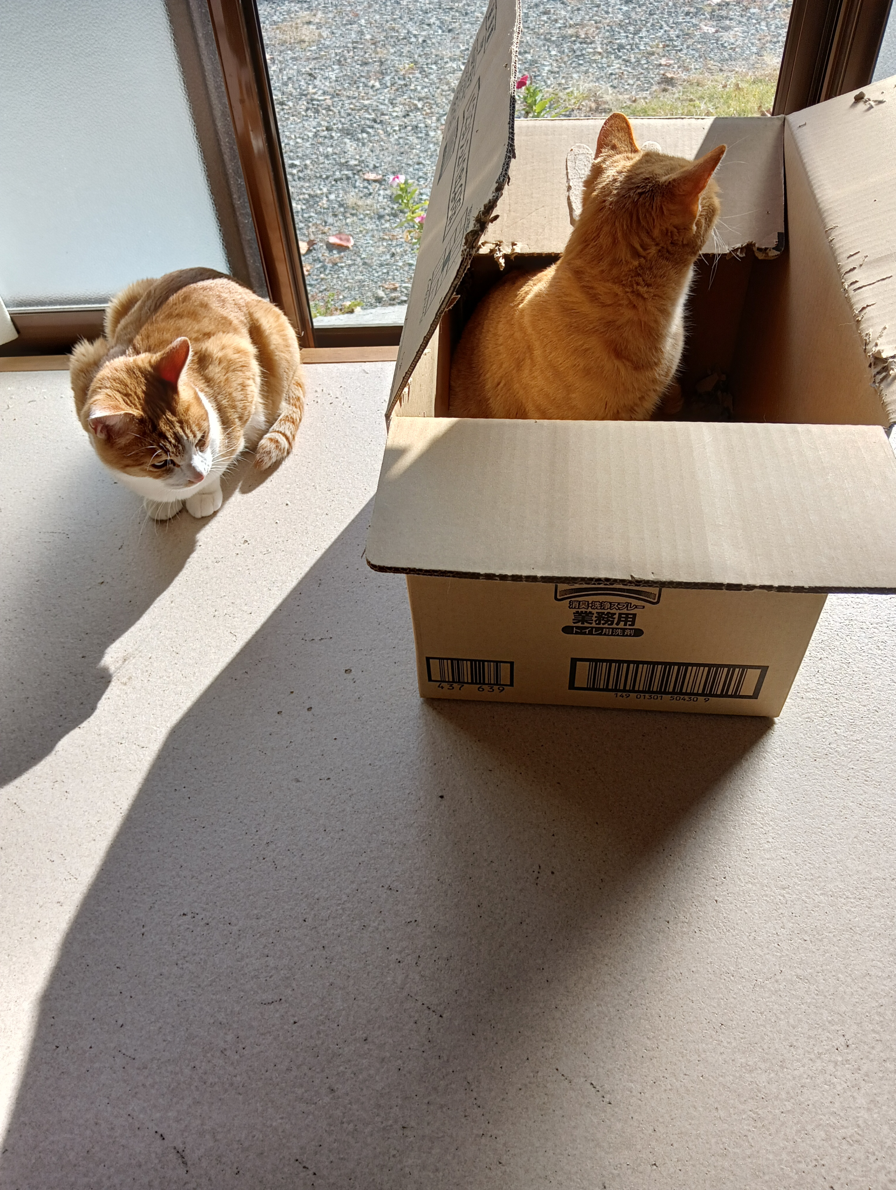 　　　　　　　　　　　　　　　　　　　　　　　　　　　　　　　　　やっと出たあ、よかったあー