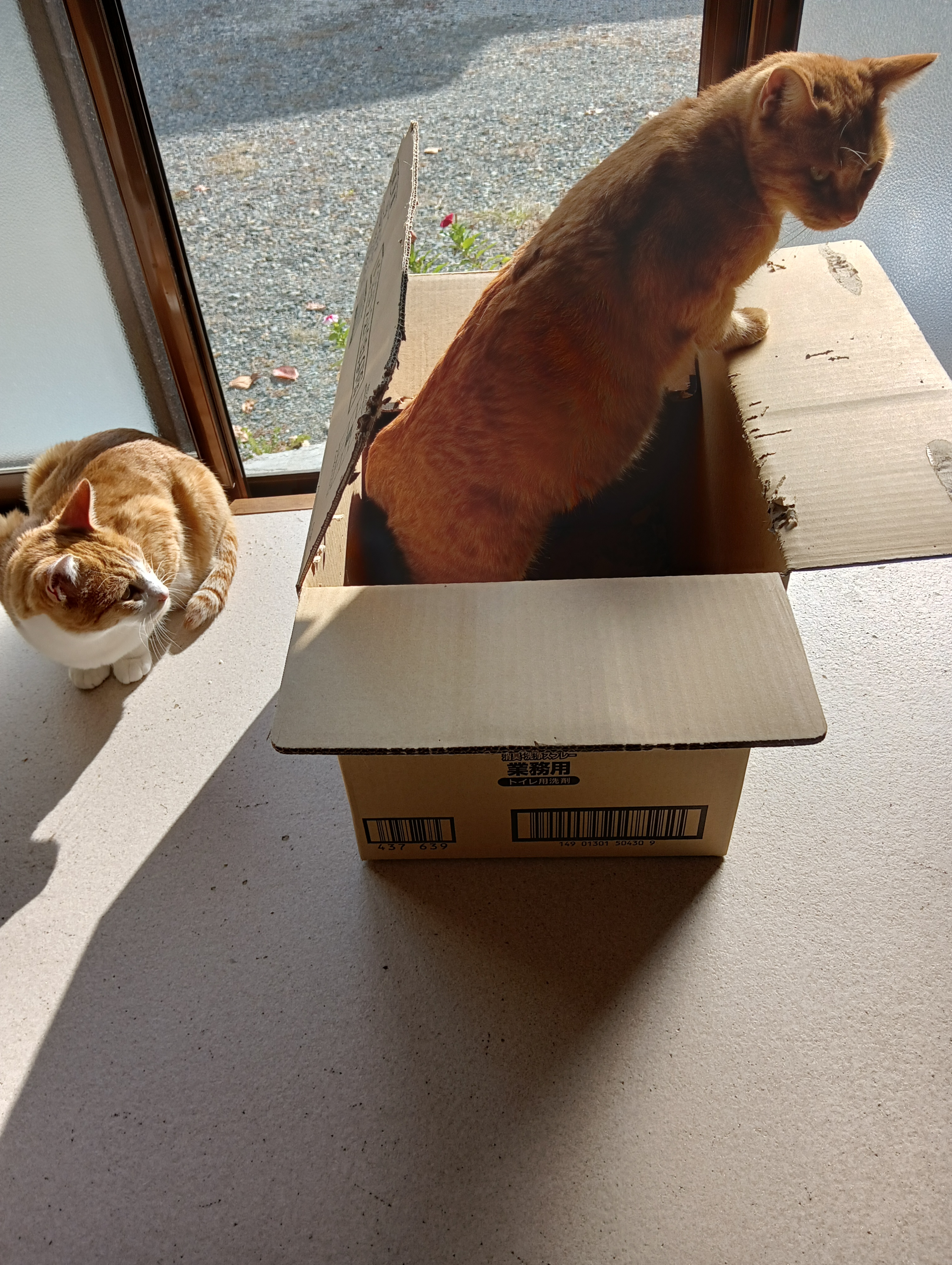 　　　　　　　　　　　　　　　　　　　　　お先に　悪かったわね　　　　　　　ほんとに悪いよ