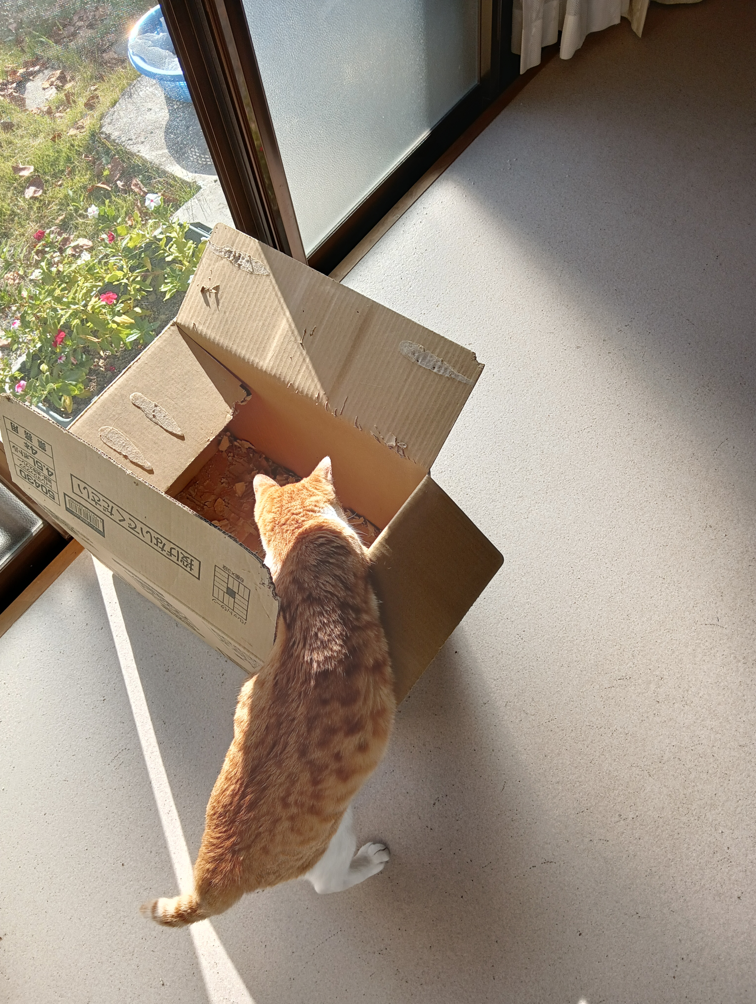 　　　　　　　　　　　　　　　　　　　　　　　　　　　　　　　　　　　　早くしなくちゃ出ちゃう