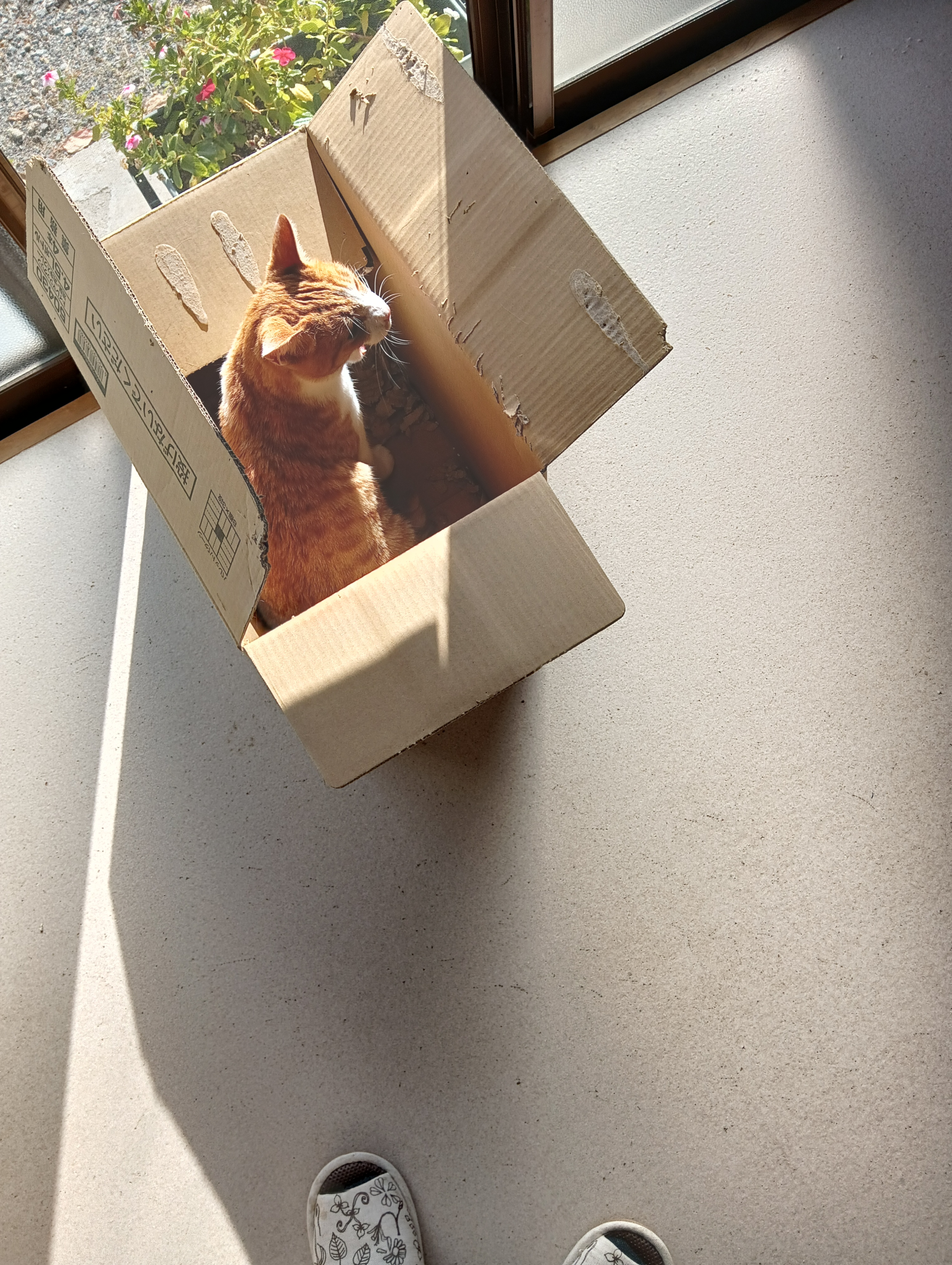 　　　　　　　　　　　　　　　　　　　　　　　　　　　アー！　チーコさん、流してないよー！！