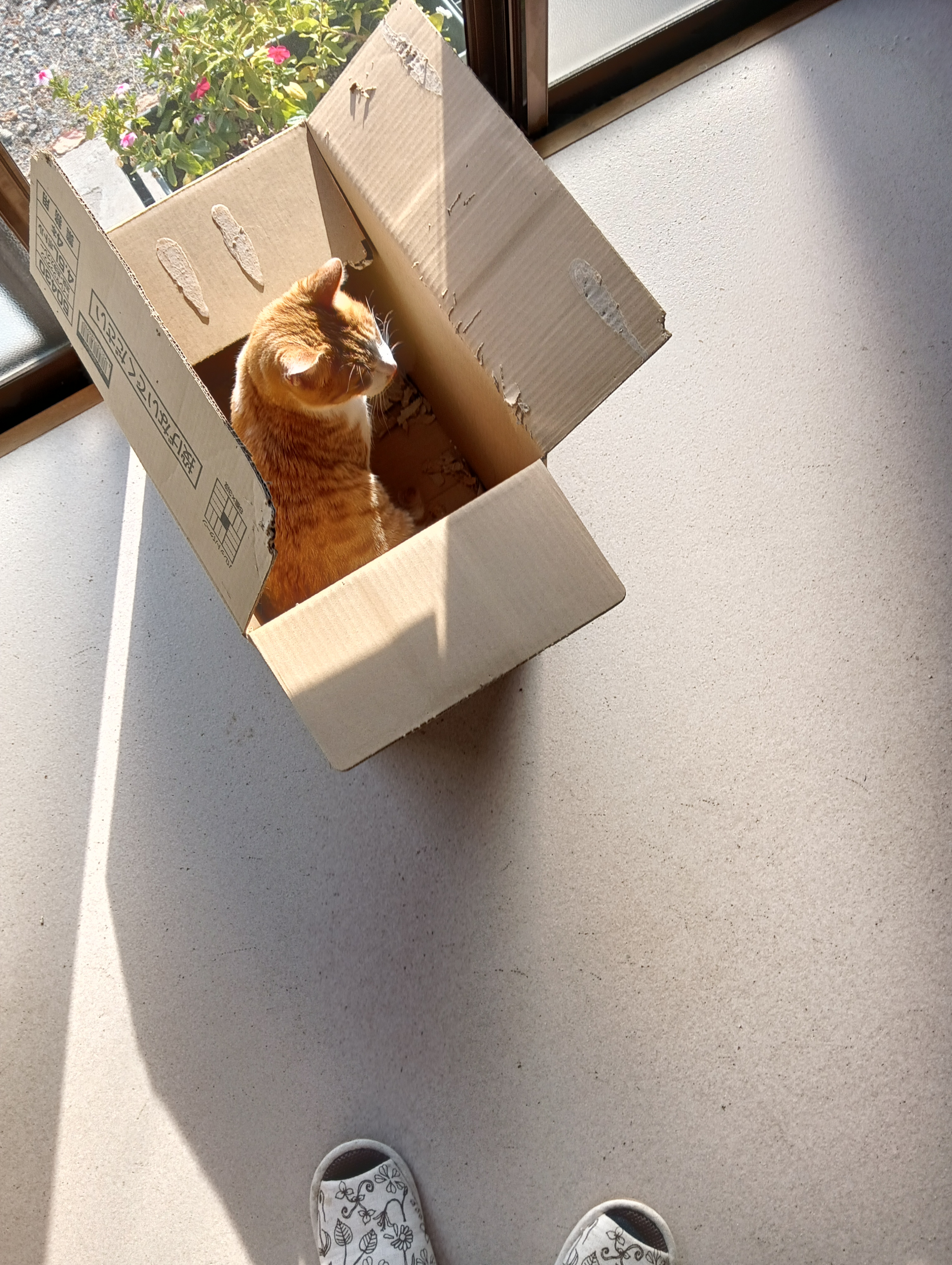 　　　　　　　　　　　　　　　　　　　　　　　　　　　　　　　　　　やれやれ　　やっとすんだ