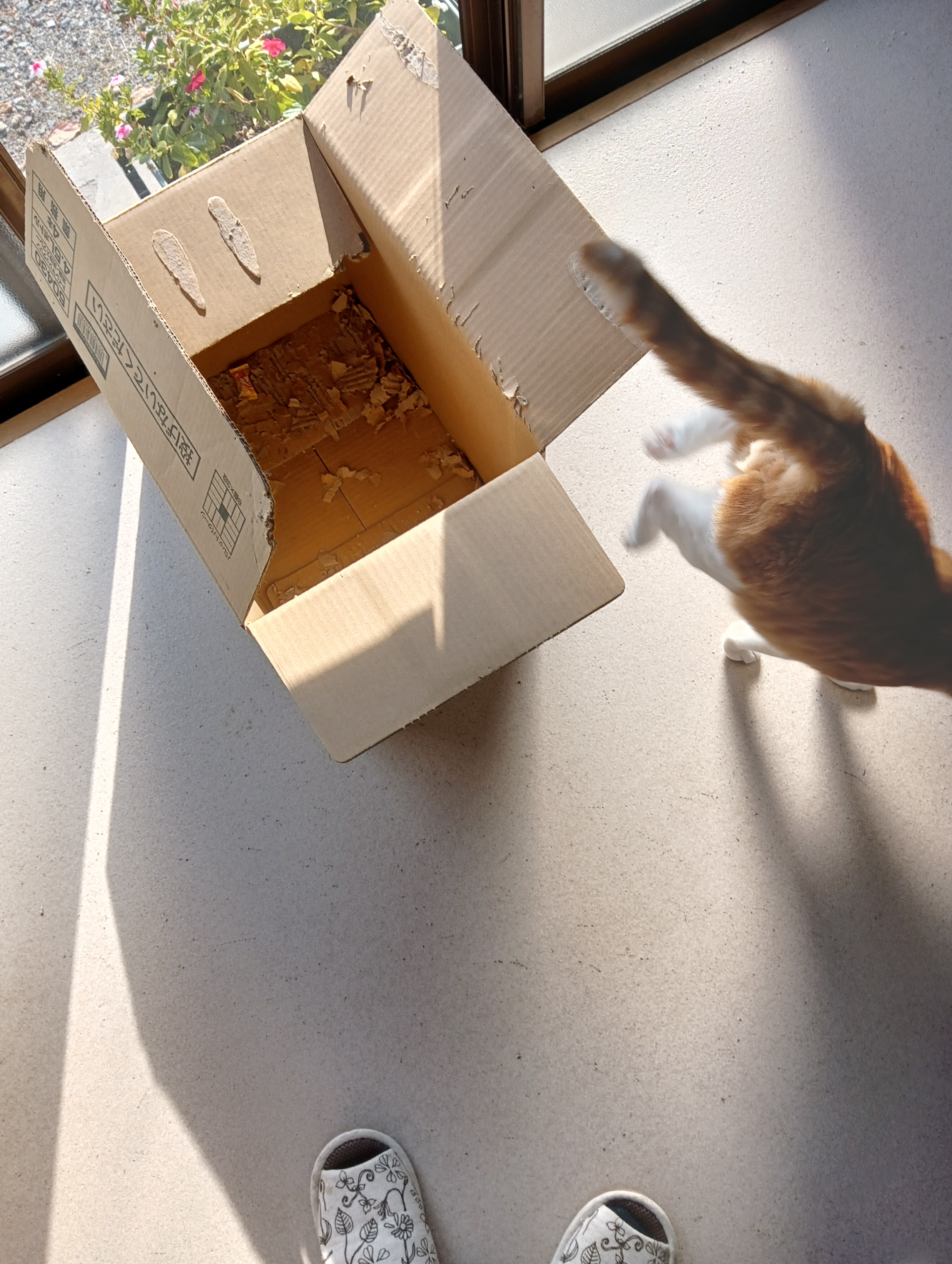 　　　　　　　　　　　　　　　　　　　　　　　　　　それにしても、用がすんだら流してよねー