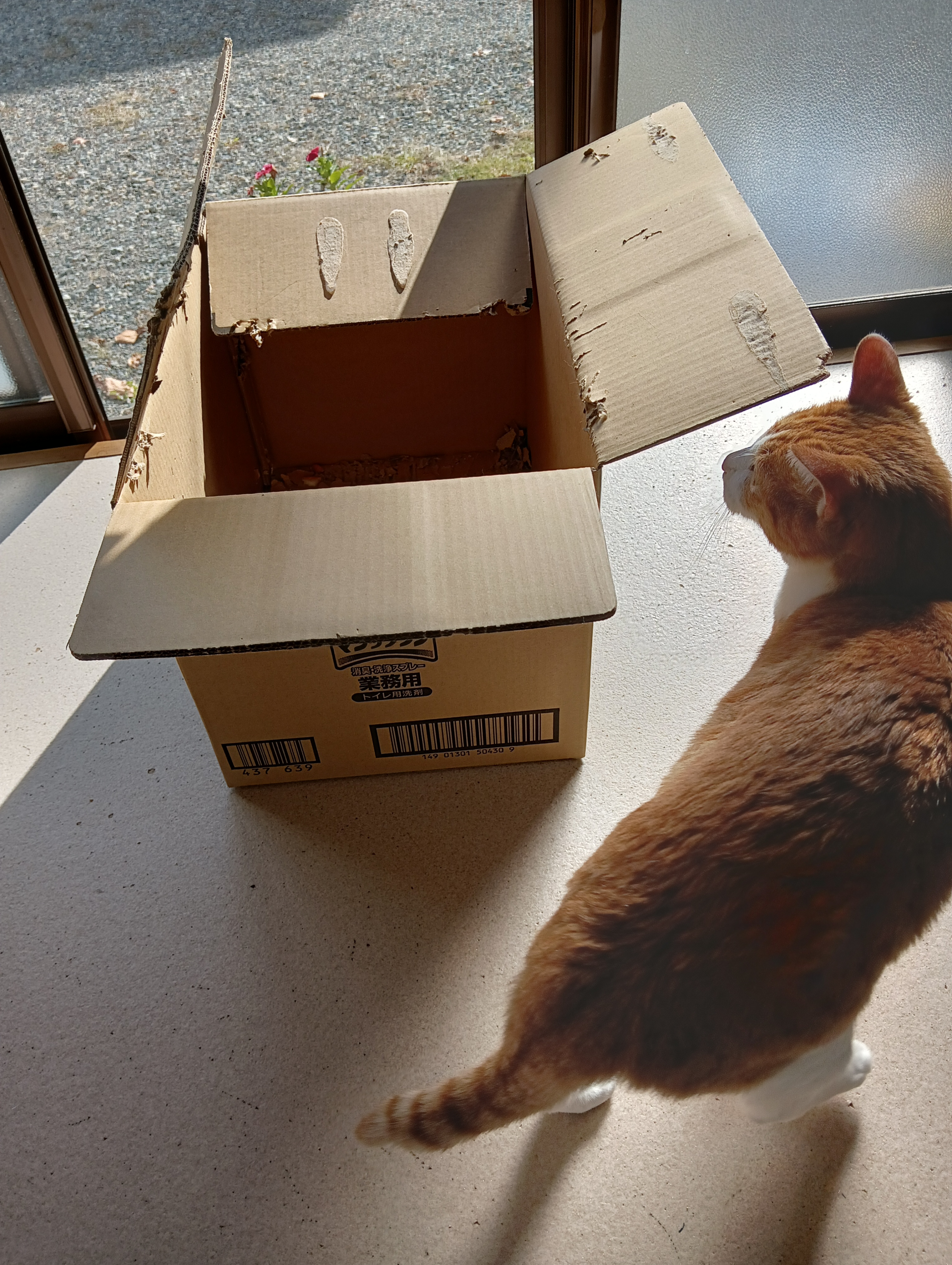 　　　　　　　　　　　　　　　　　　　　　　　　　　信州に移住するんだ、この家はどうかな