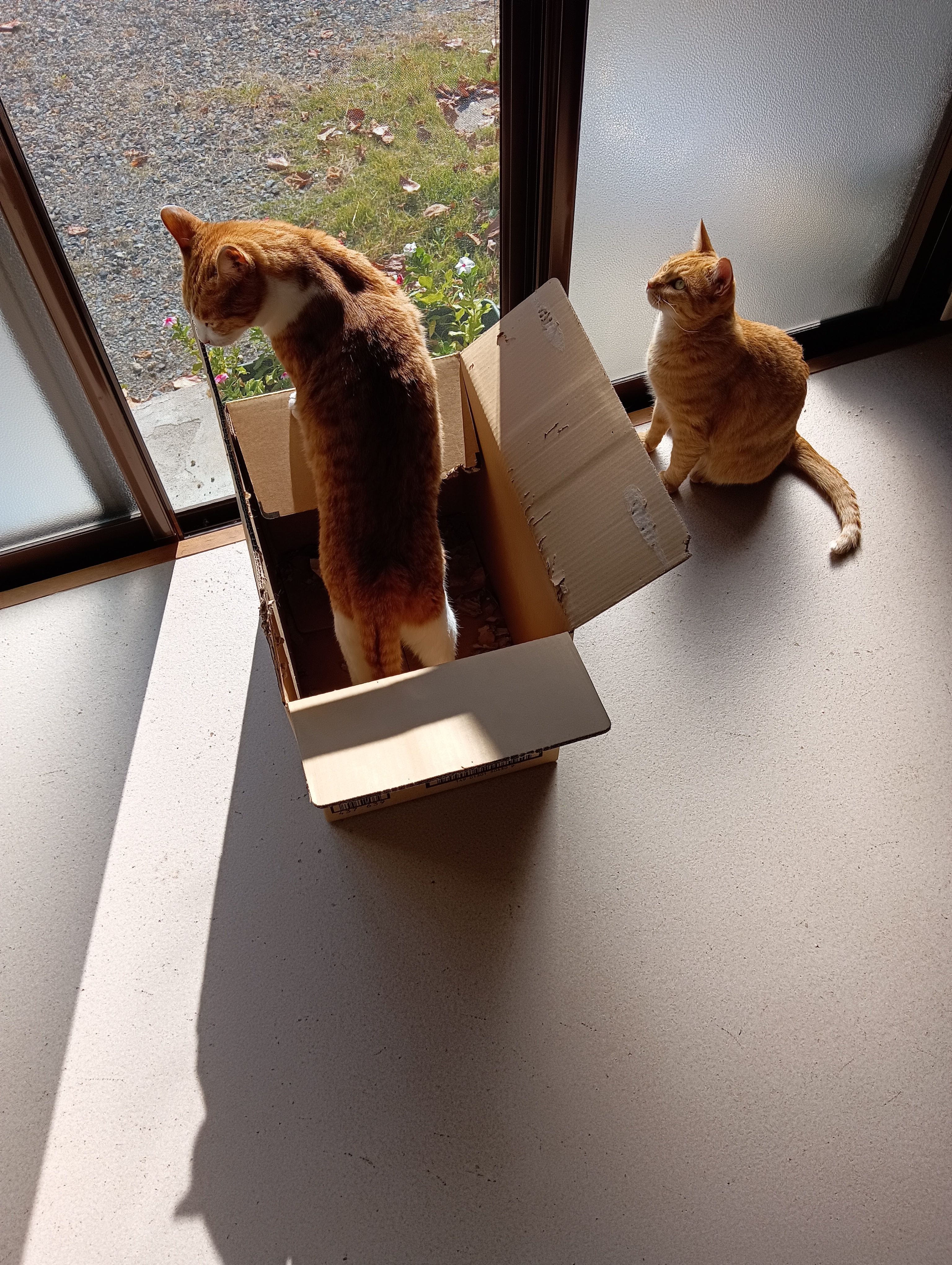 　　　　　　　　　　　　　　　　　　　　　　　　　　　　　　景色はいいし空気もうまい、そうね