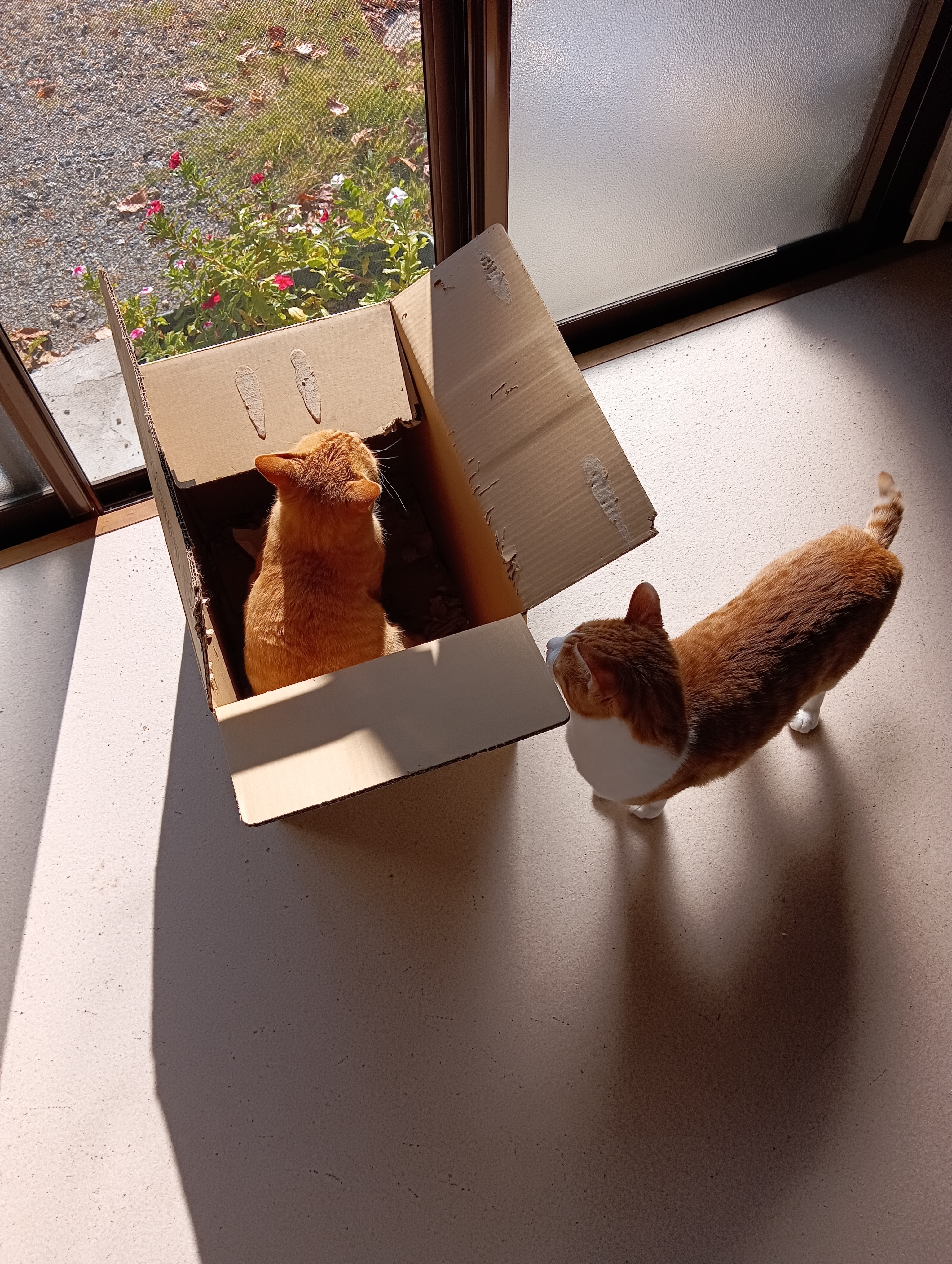 　　　　　　　　　　　　　　　　　　　　　　　　　　　　　　　　　　またそれをいう！禁句よ！