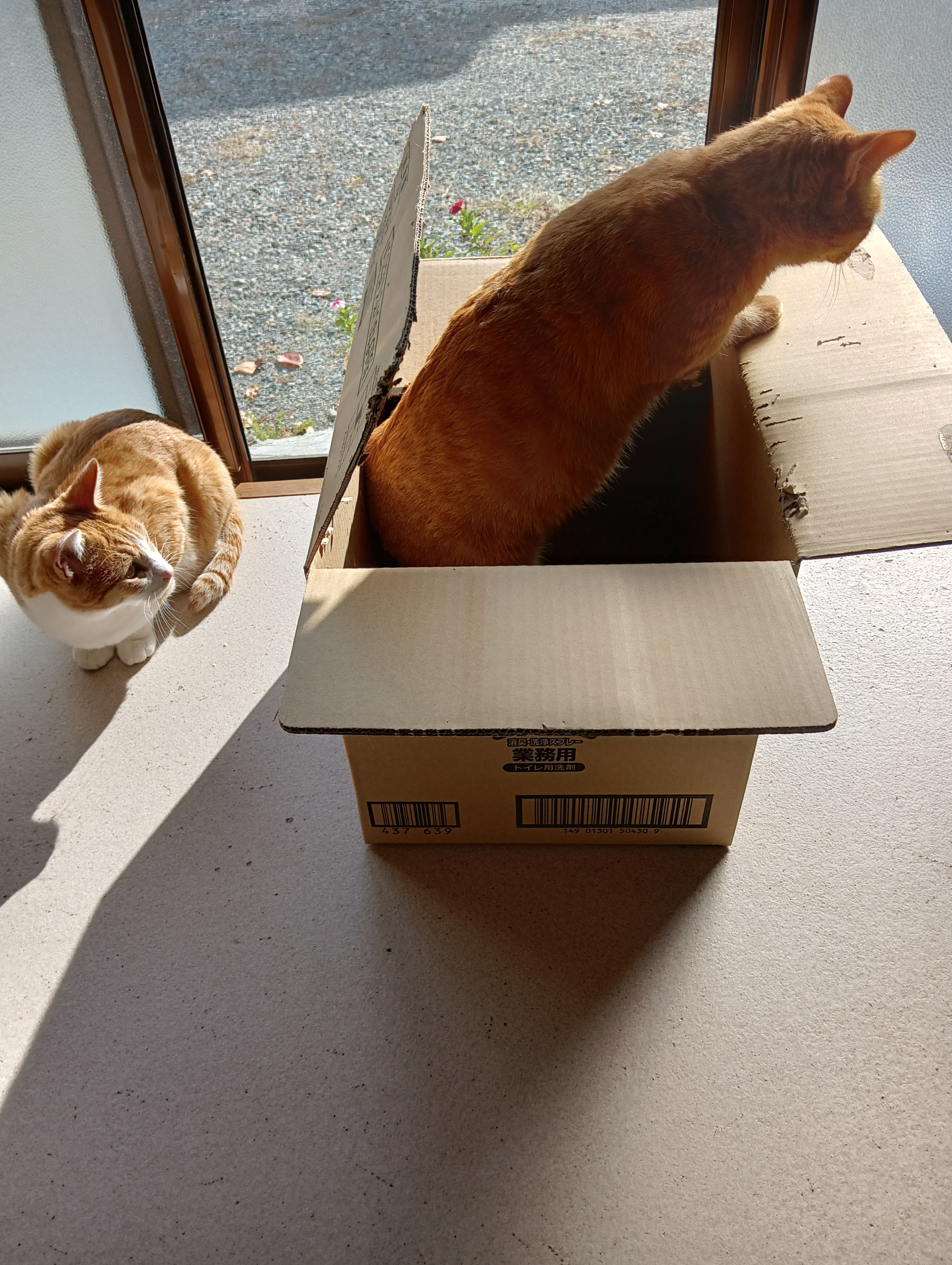 　　　　　　　　　　　　　　　　　　　　　　　　　　　　　気分悪い！あたち東京に帰るわ