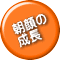 朝顔の 成長 