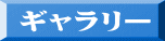 ギャラリー